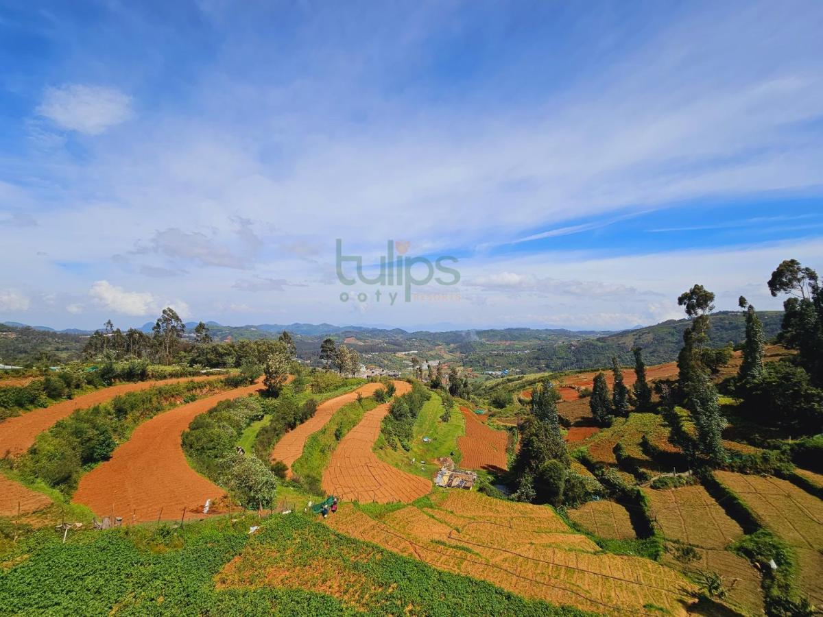 Tulips Village Resorts Ooty Esterno foto